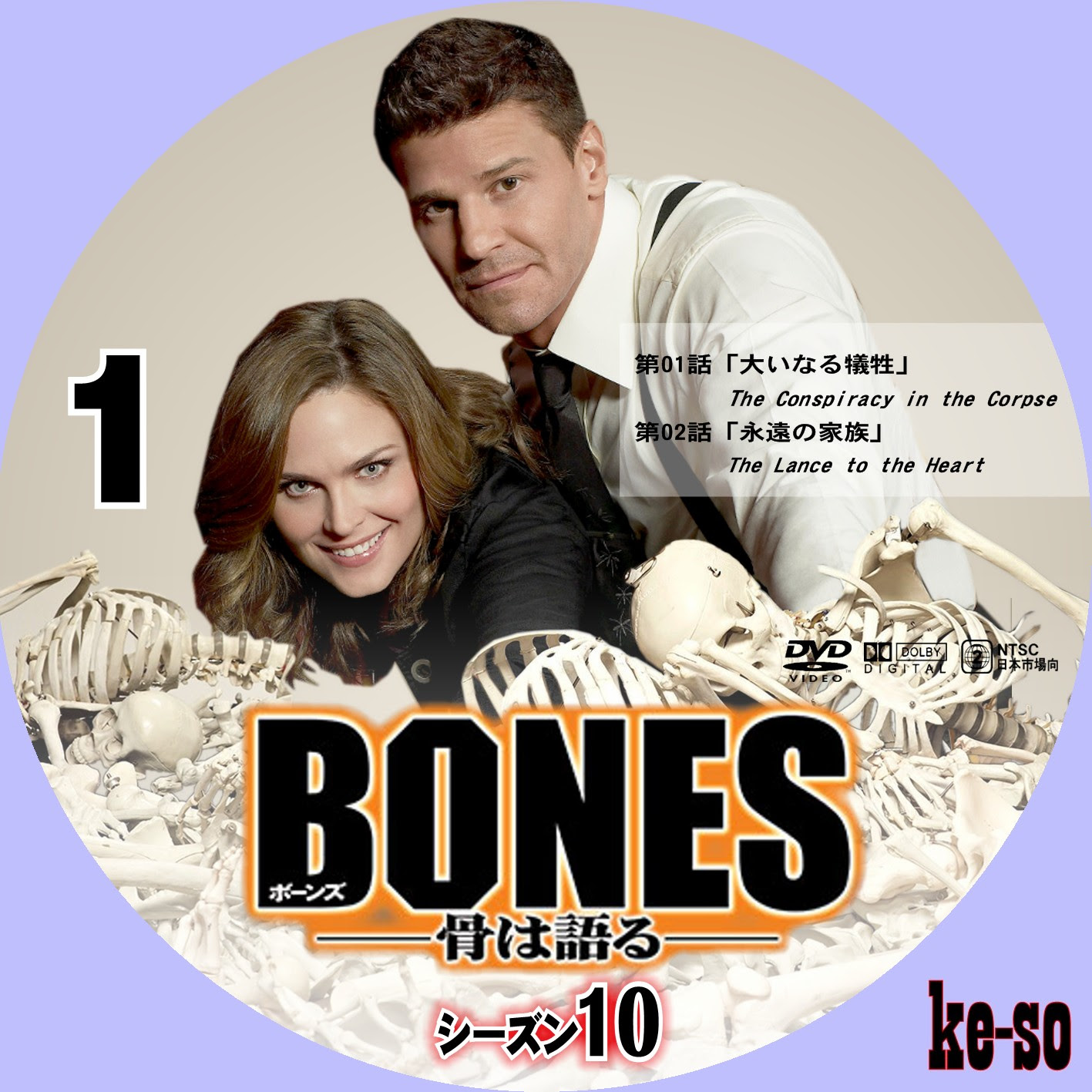 完了しました Bones シーズン 10 あらすじ 常に最新のイメージベスト