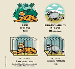 Wildlife Behind Bars