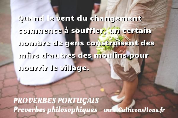 Citation Damour En Portugais Best Citations D Amour
