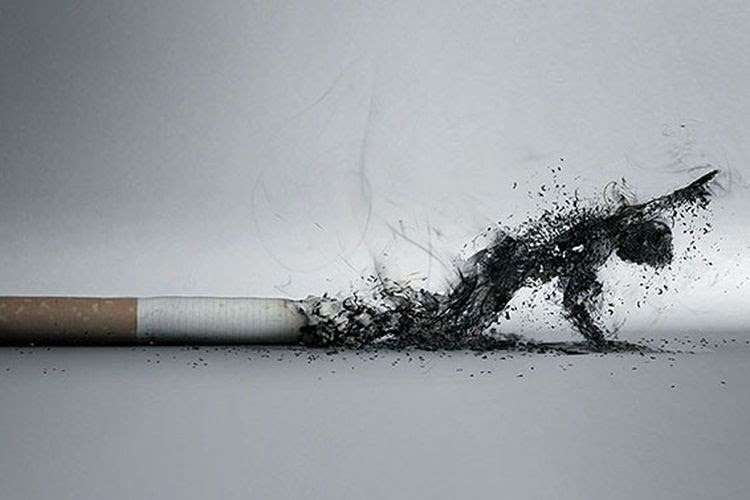 Membuat desain poster untuk pesan kesehatan menggunakan software corel draw, mudah diikuti dan di praktekkan. 10 Poster Iklan Anti Rokok Paling Unik Dan Kreatif Hai