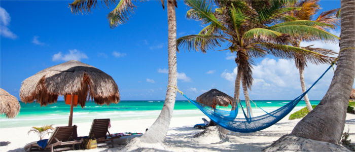 We did not find results for: Caribbean A Heaven On Earth Under Palm Trees Travelmyne Com