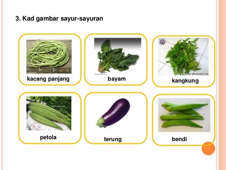 Gambar Soalan Kuiz - Kecemasan d