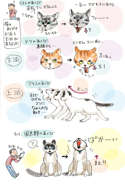 かわいい 猫 あくび イラスト 最高の新しい壁紙aahd
