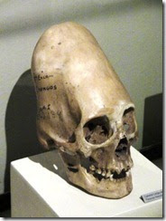 Skull 1