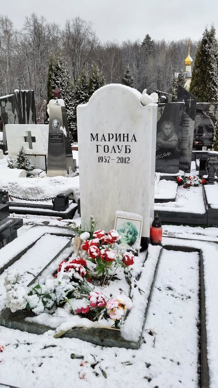 Сервер современной литературы самиздат при библиотеке мошкова предназначен для создания авторских литературных разделов. Marina Golub Konstantin Anisimov Socialnaya Set Fotokto