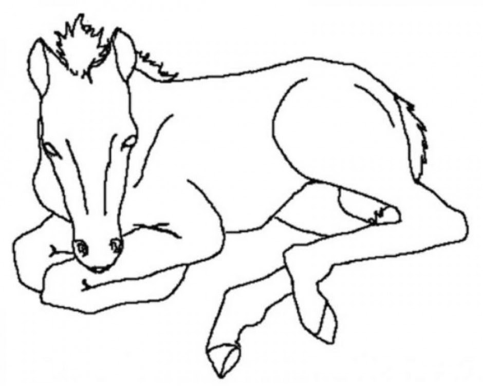 When breeding horses, you can use golden apples, enchanted golden apples or golden carrots, whichever you prefer. Easy Drawings Of A Baby Horse Clip Art Library