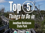 Jonathan Dickinson