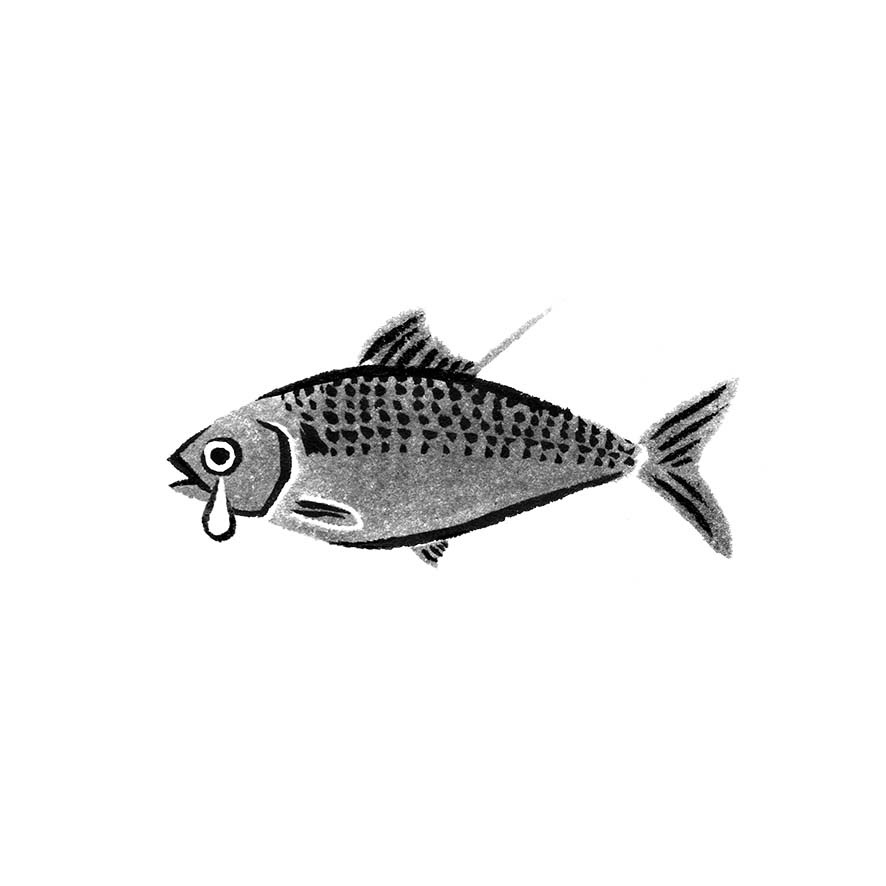 すべての動物の画像 50 小魚 イラスト リアル