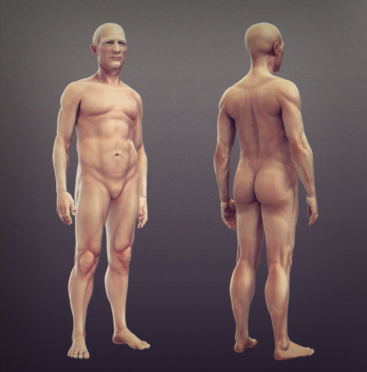 Dynamic male anatomy for artists in zbrush. Male Anatomy Daniel Bystedt S Blog