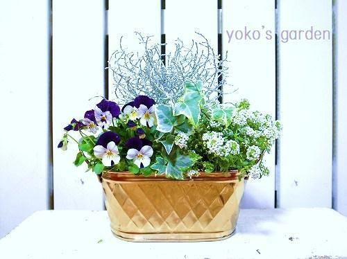 動物画像無料 最高可愛い 寄せ 植え