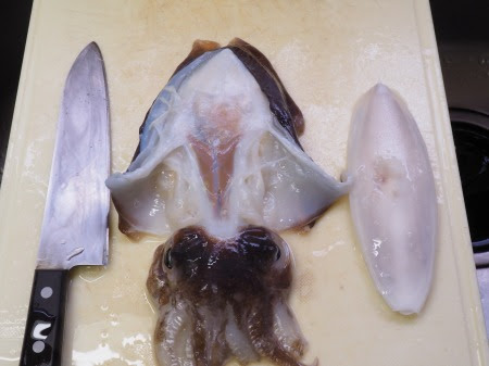 これまでで最高のモンゴウイカ 刺身 最高の花の画像