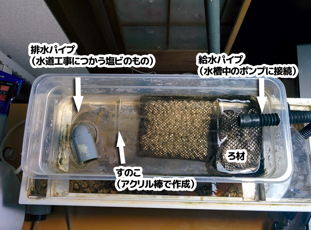 濾過装置 作り方 池