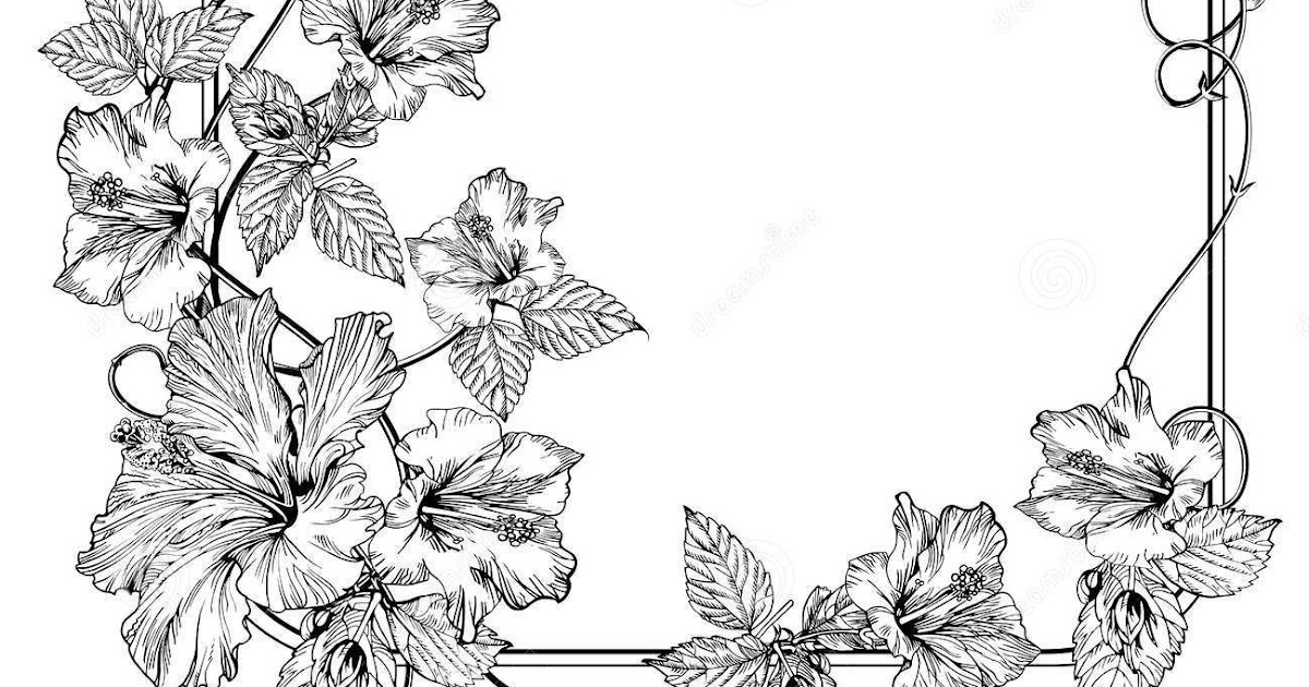 Clematis Coloring Pages - Tranquilino Info