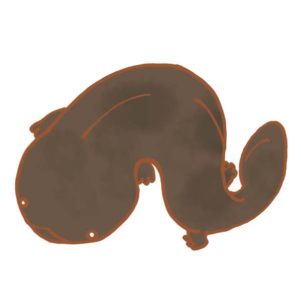動物の画像について ぜいたくオオサンショウウオ イラスト
