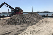 chesapeake bay oyster restoration