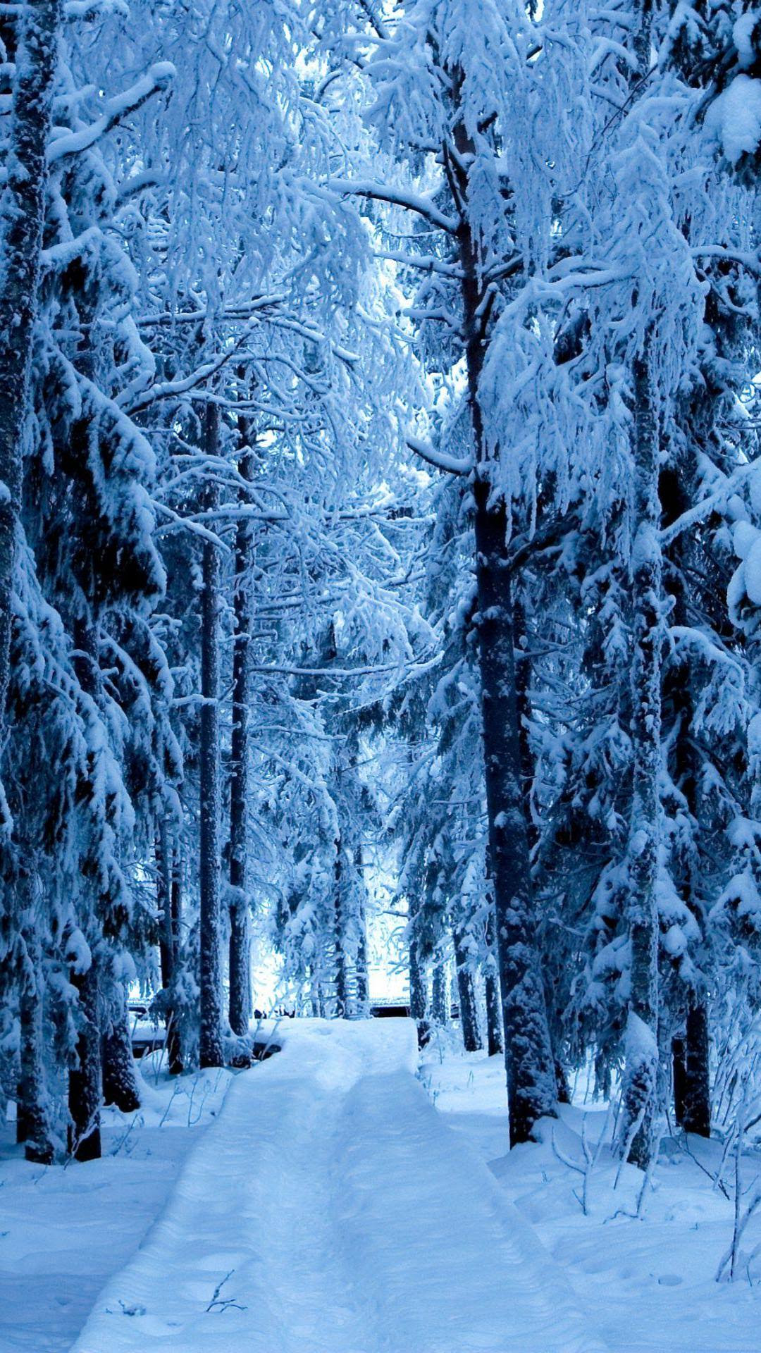 ベスト冬 景色 雪景 色 壁紙 高 画質 アニメ画像