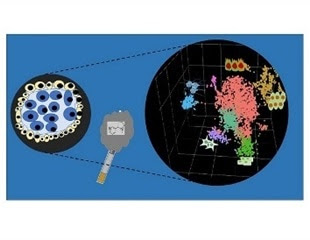 Nicotine could affect human embryonic development at the single-cell level