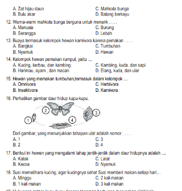 Contoh Soal Uts Agama Kelas 4 Semester 1 Kurikulum 2013