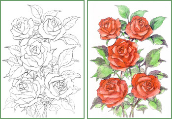 最新 薔薇 イラスト 描き 方 簡単 かわいい かっこいい無料イラスト素材集