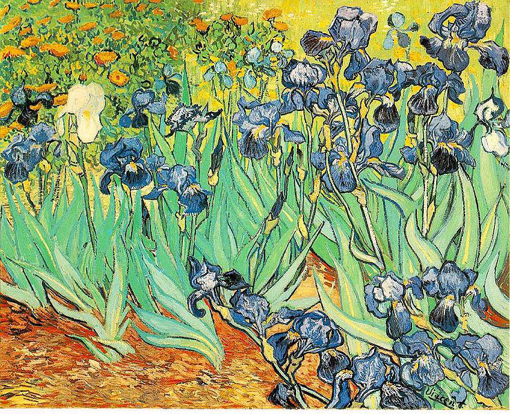 75 ゴッホ 壁紙 最高の花の画像