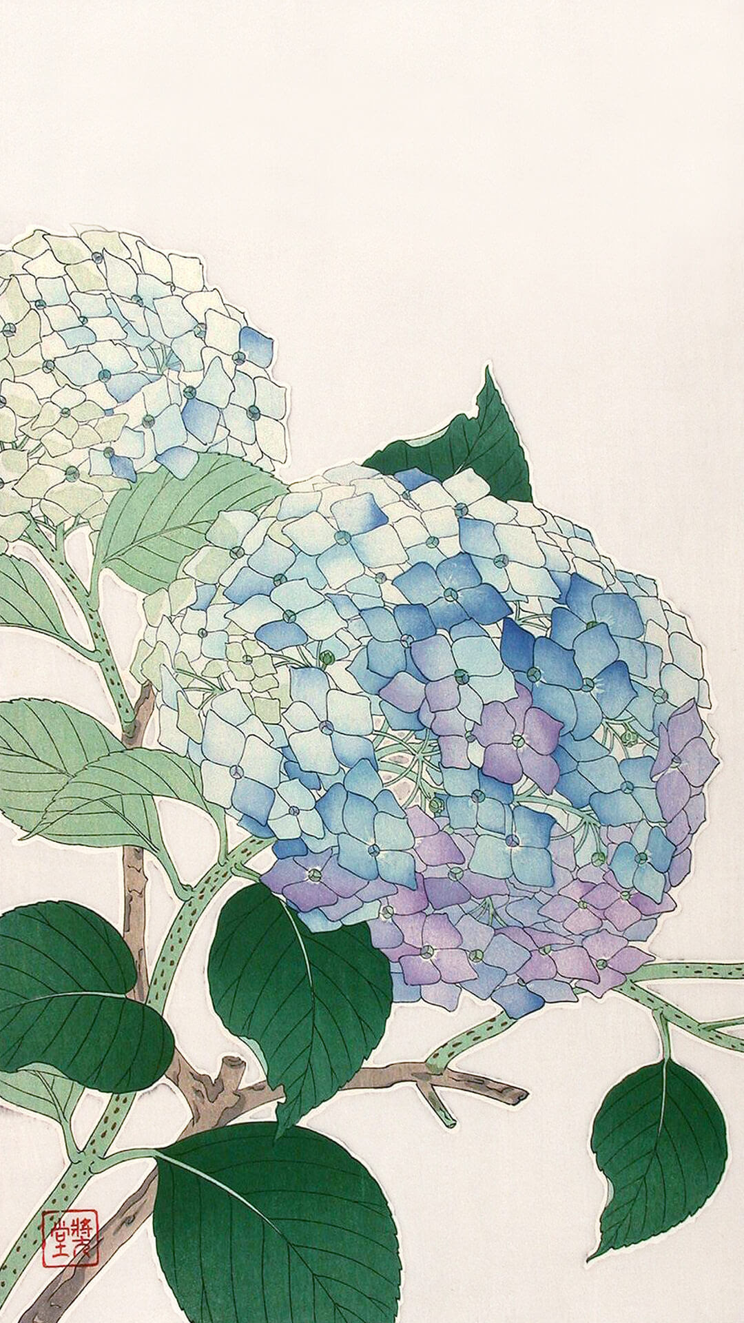25 壁紙 紫陽花 イラスト 壁紙 紫陽花 イラスト