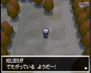 トップレート ポケモン ブラック ケルディオ 100 で最高の画像