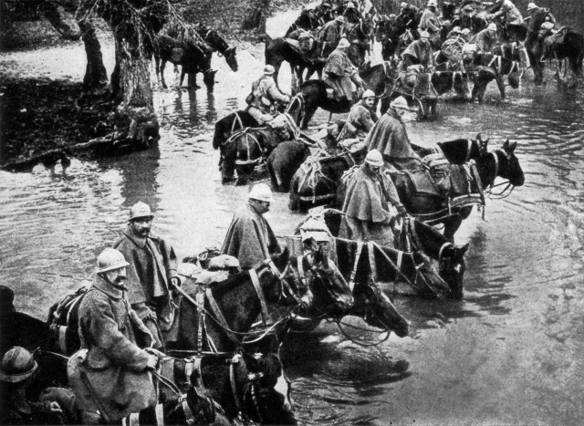Cu toate acestea, în afara unor repere generale, există multe alte amănunte interesante, dar oarecum obscure. Radio Romania International BÄƒtÄƒlia De La Verdun Si Intrarea Romaniei In Primul RÄƒzboi Mondial
