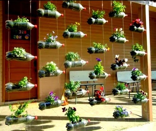 20 Baru Cara Membuat Tanaman  Hias  Gantung Dari  Botol  