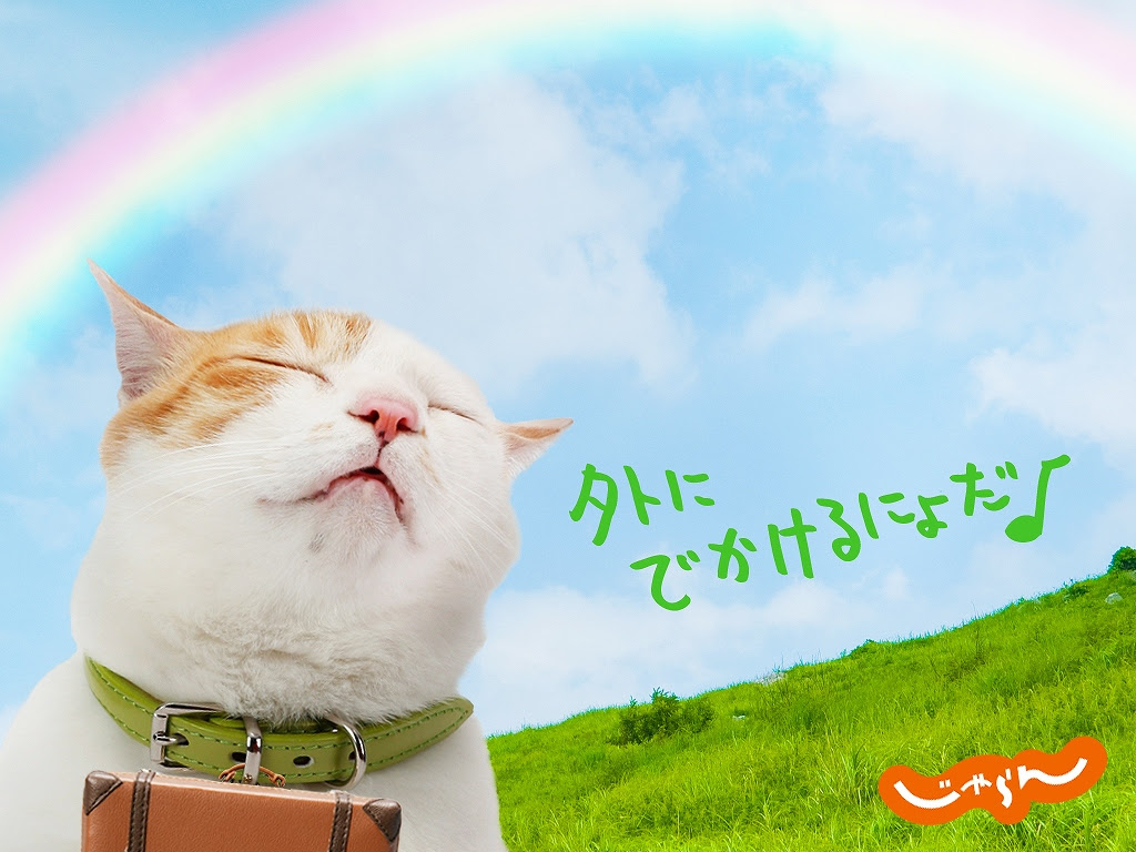 100 にゃらん 壁紙
