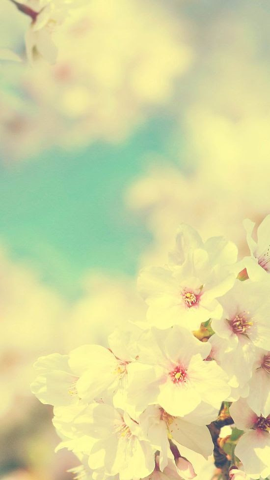 新着おしゃれ 春 壁紙 Iphone 最高の花の画像