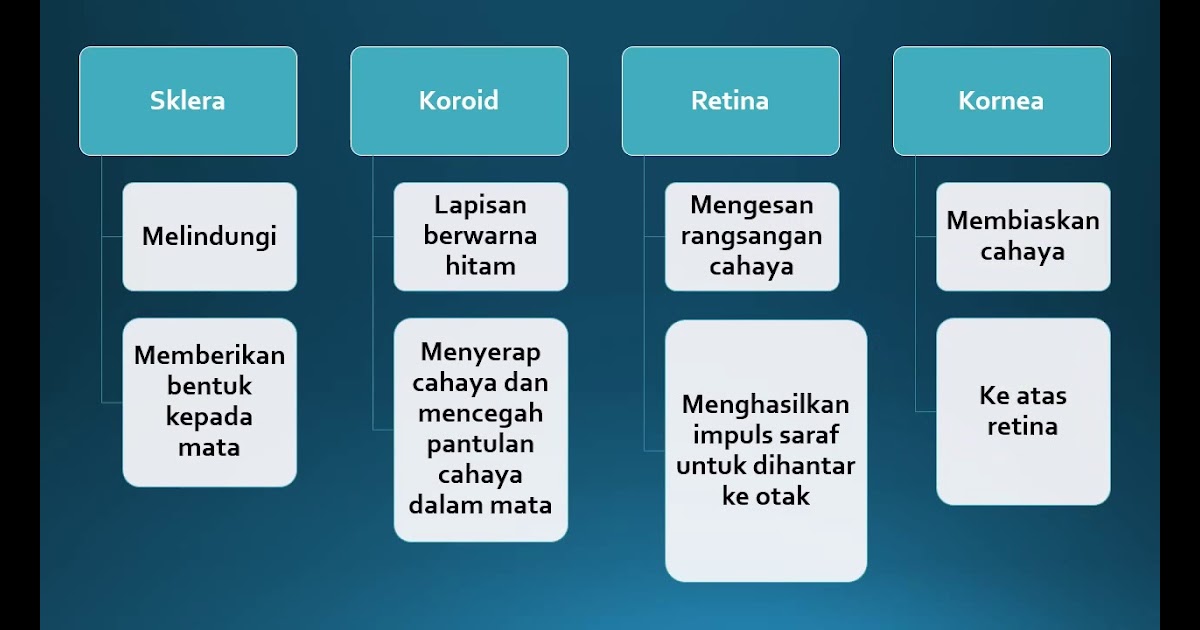 Nota Ringkas Sains Tingkatan 3 2020