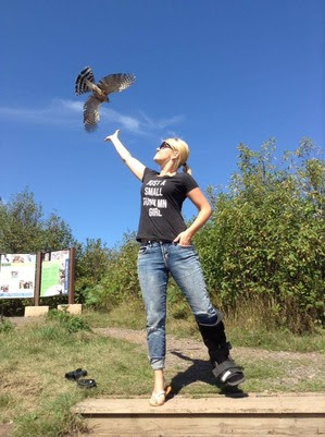 Bird Release at Hawk Ridge