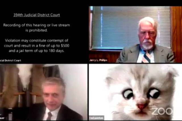 “Não sou um gato”: o advogado que não logrou desativar o filtro do Zoom