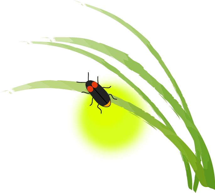 最高の動物画像 ロイヤリティフリーほたる イラスト