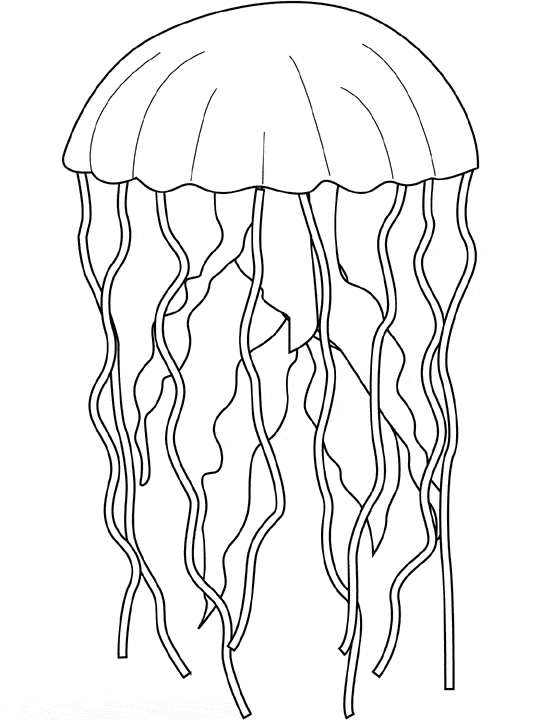 cartoon jellyfish coloring page free printable coloring pages