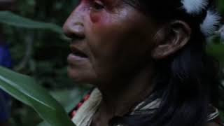 The Waorani community of Ecuador protects 180,000 hectares of their land against exploitation The indigenous Waorani community of Ecuador has won a landmark case against oil companies, protecting 180000 hectares of their land against exploitation., From YouTubeVideos