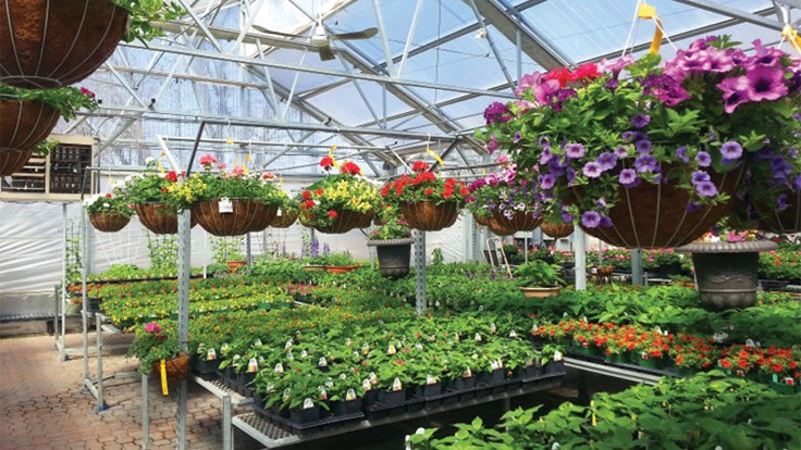 When you order from oregon greenhouse you can expect a secure and encrypted transaction protecting your private information. Construction Ahead Greenhouse Management