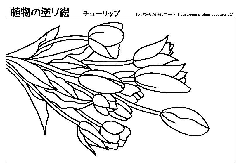 すべての美しい花の画像: 無料印刷可能塗り絵 高齢者 花