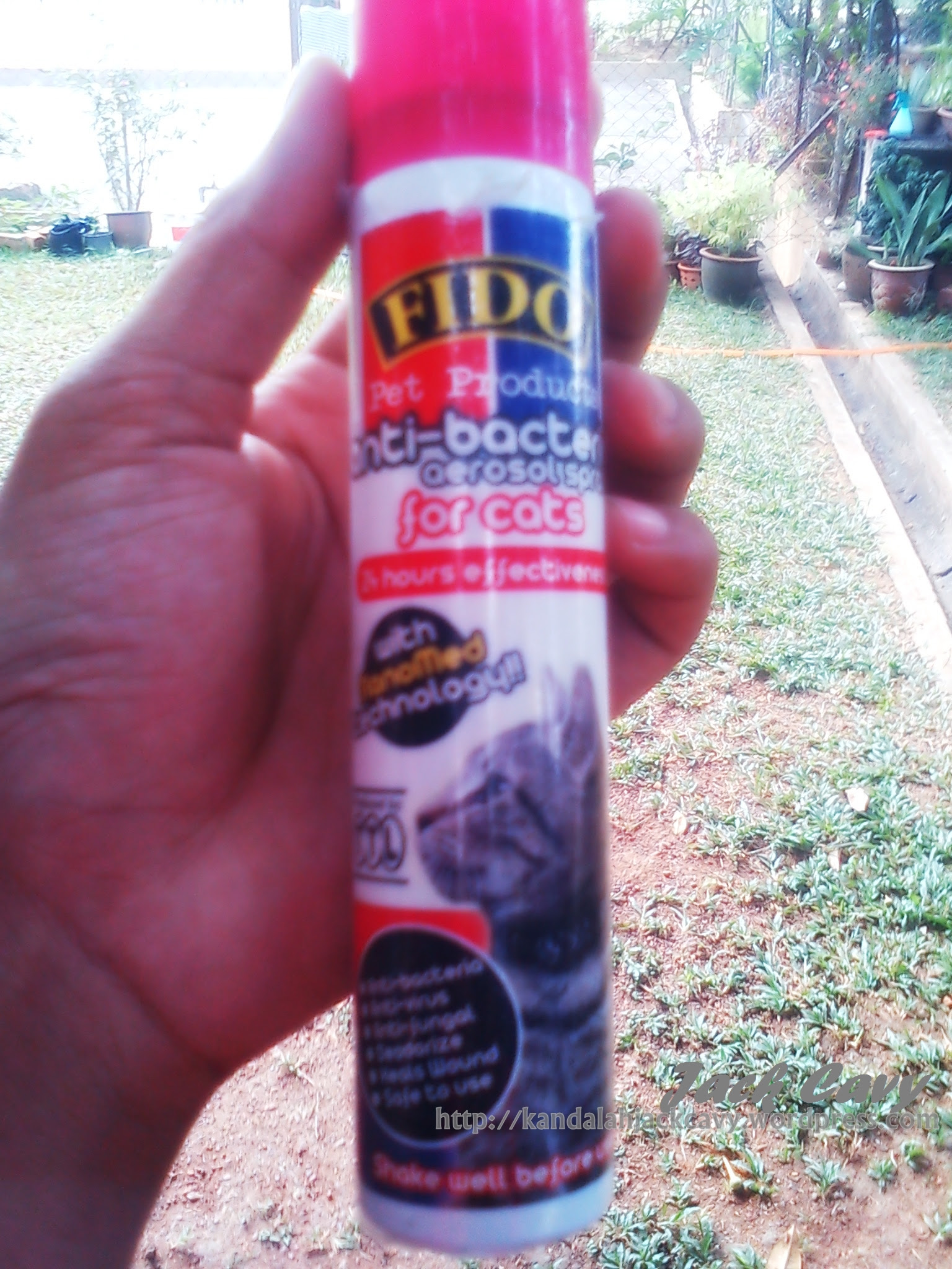 Ubat Untuk Hilang Kurap - Sabias c