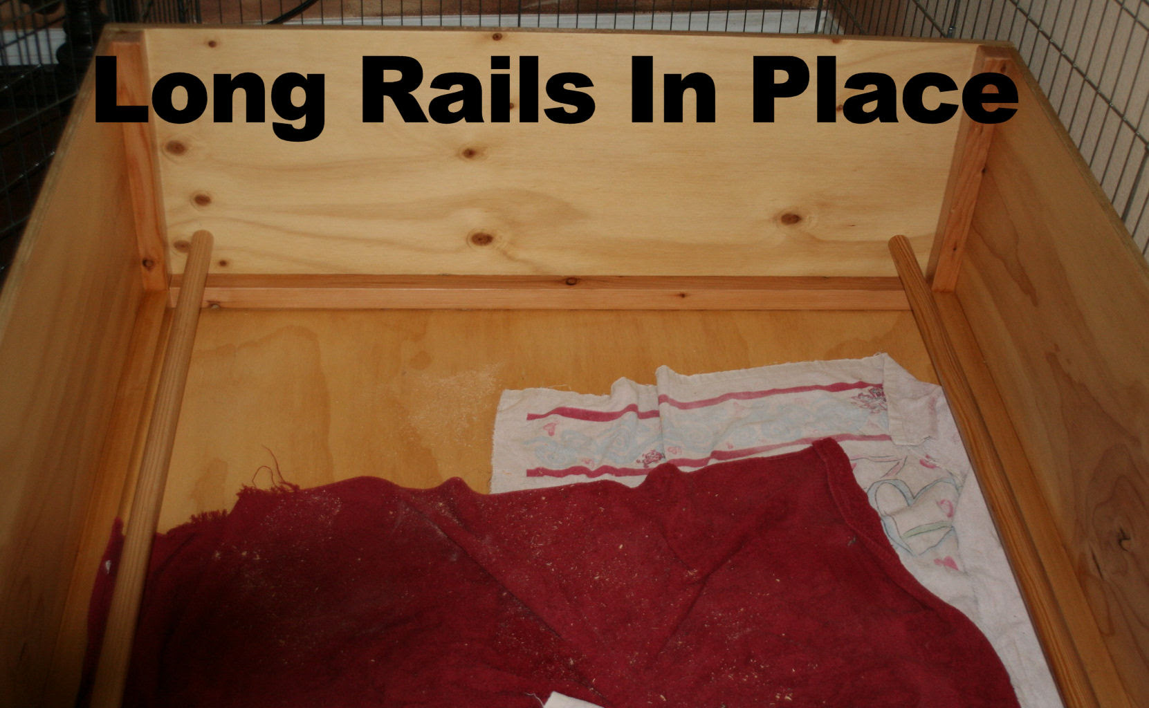 How To Build A Whelping Box With Pig Rails
