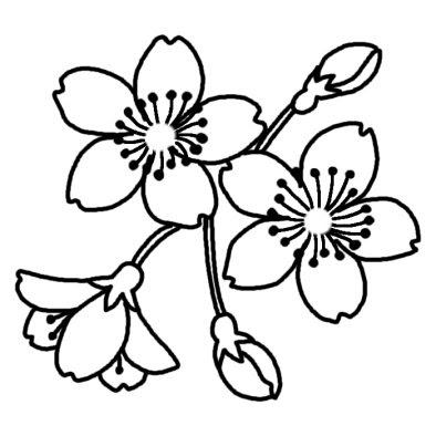 すべての美しい花の画像 トップ100春の 花 イラスト 白黒