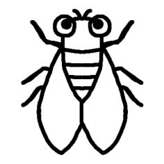 最高の動物画像 ベスト50 虫 イラスト 白黒