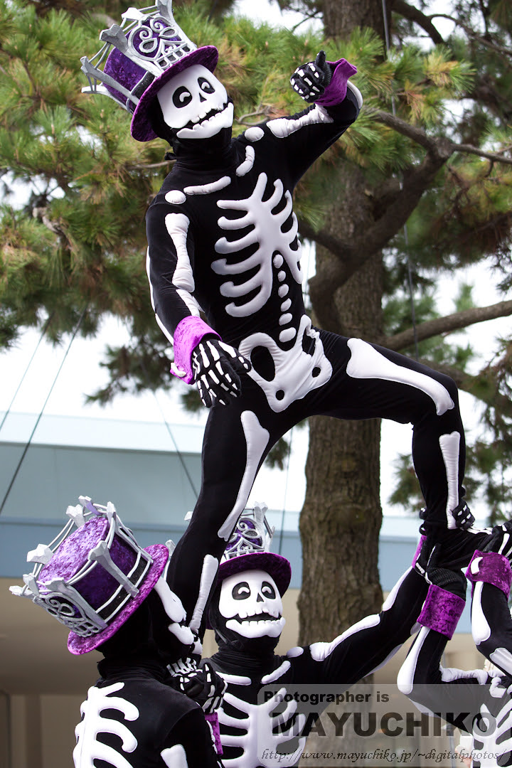 上ディズニー がい こつ ディズニー画像のすべて