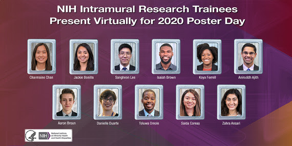 Feature Story: NIH Intramural Research Trainees Present Virtually for 2020 Poster Day.