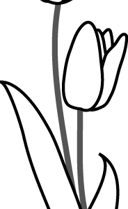 コレクション チューリップ イラスト 手書き フリー 219548