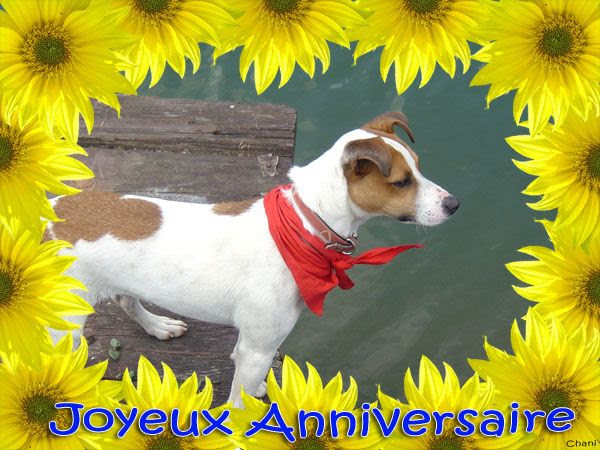Bon Anniversaire Kitch Shanti