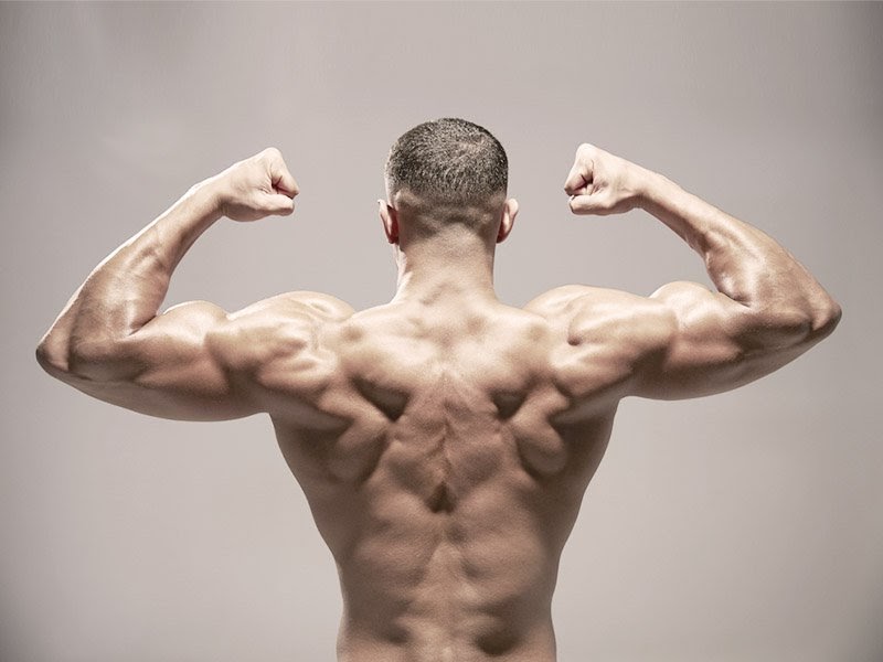 Bodybuilding Shoulder Muscle Names / Https Encrypted Tbn0 ...