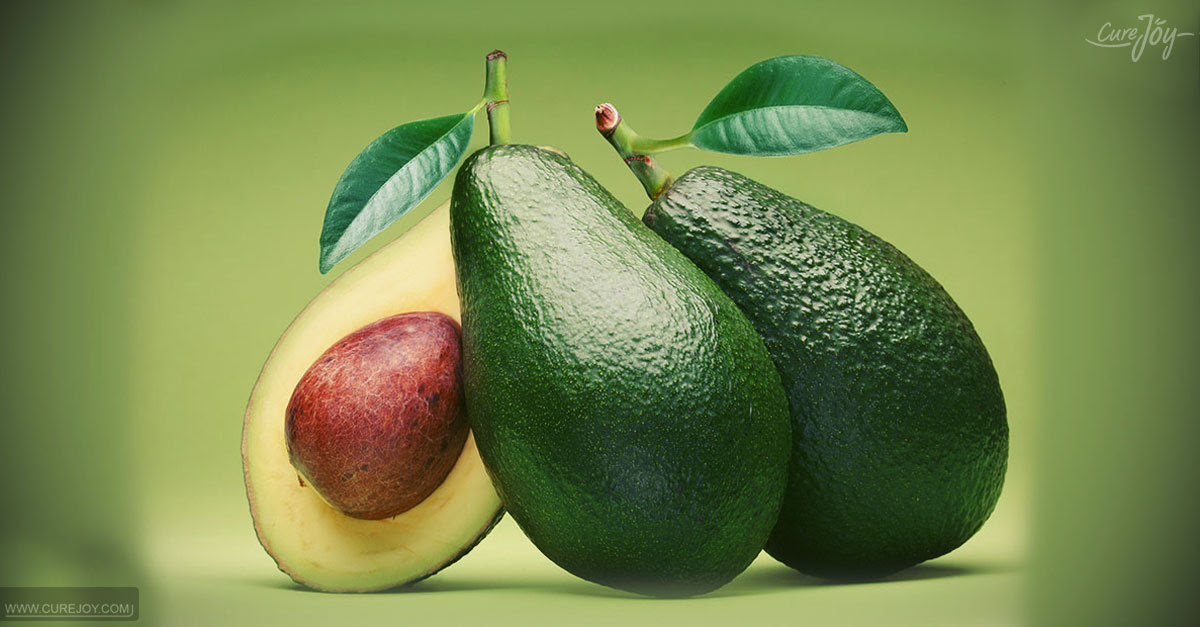 How To Grow Avocado Tree At Home