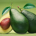 How To Grow Avocado Tree At Home