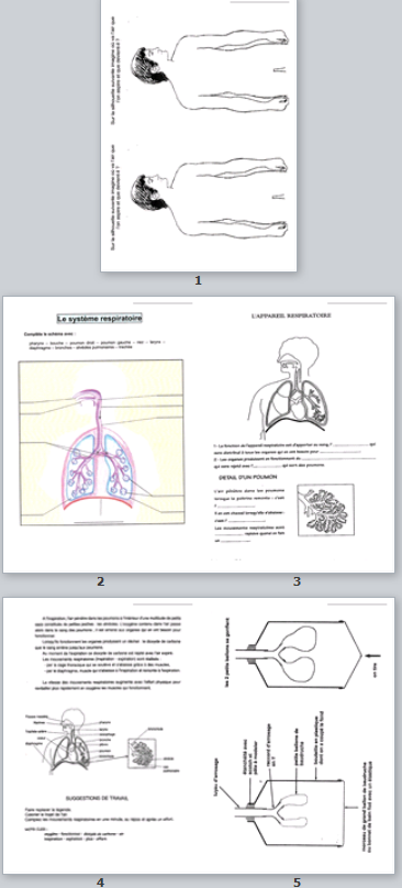 Être dans la zone de contrôle au coup de sifflet final. Sciences Respiration Cm Un Petit Coin De Partage